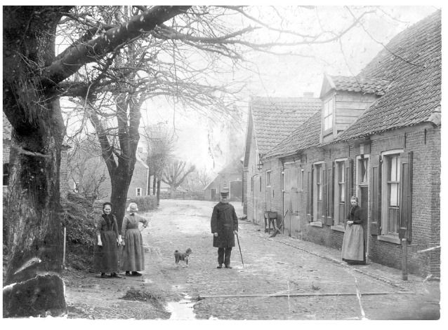De Dorpsstraat met links de schapenmarkt en rechts waar nu de Albert Heijn is